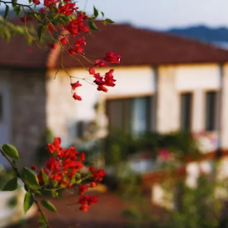 Ξενοδοχείο Luna